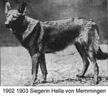 Hella von Memmingen