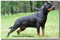 Cora Leon of Neoplanta