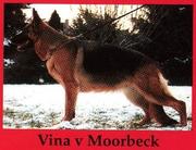 Vina vom Moorbeck