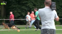Yackpot vom Holtkämper Hof