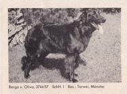 Berga von Oliva