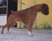 Quark della Rocca dei Papi