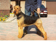 Lino von der schwarzen Kuhle