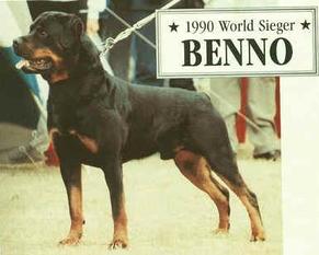 Benno von der Schwarzen Heide Benno von der Schwarzen Heide