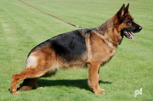 Aschera von Athaba Aschera von Athaba