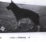 Idur vom Gräfental