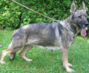 Bessi von Übernthal Bessi von Übernthal