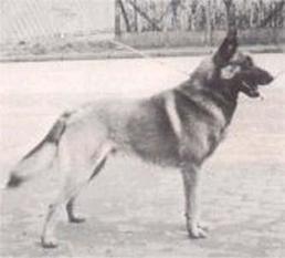 César de l'Assa César de l'Assa