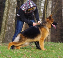 Irija Šilo aidas Irija Šilo aidas