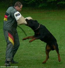 Gero von den Hassberghöhen Gero von den Hassberghöhen