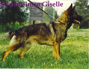 Sissinheimon Giselle Sissinheimon Giselle