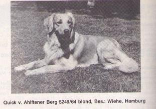 Quick vom Ahlftener Berg Quick vom Ahlftener Berg