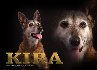 Kira (Rachner) (R) Kira (Rachner) (R)