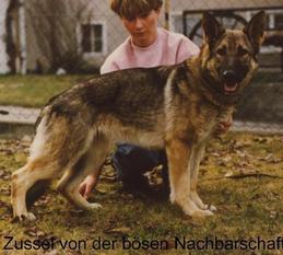 Zussel von der bösen Nachbarschaft Zussel von der bösen Nachbarschaft