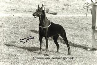 Arjanne van Hermansjomaik Arjanne van Hermansjomaik