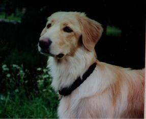 Nina vom Schondratal Nina vom Schondratal
