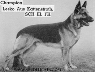 Lesko aus Kattenstroth Lesko aus Kattenstroth