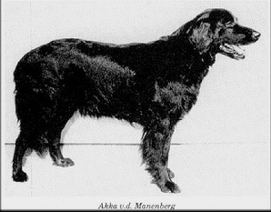 Akka von de Manenberg Akka von de Manenberg