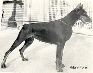 Rita von Forell Rita von Forell