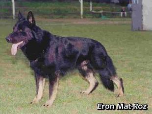 Eron Mat-Roz CS Eron Mat-Roz CS