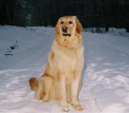 Ronja1 vom Schondratal Ronja1 vom Schondratal