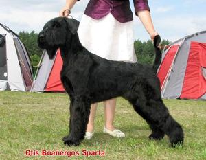 Otis Boanergos Sparta Otis Boanergos Sparta
