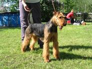 Winny von Thekla