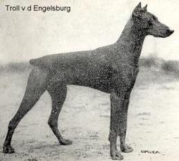 Troll von der Engelsburg Troll von der Engelsburg