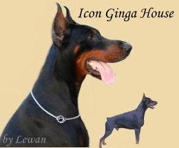 Icon Ginga House Icon Ginga House