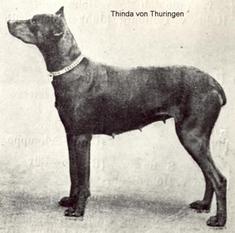 Thinda von Thüringen Thinda von Thüringen