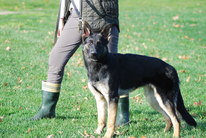 Isis von Hugelblick
