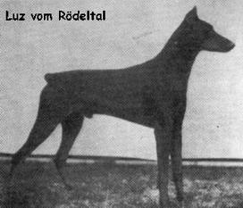 Luz vom Rödeltal Luz vom Rödeltal