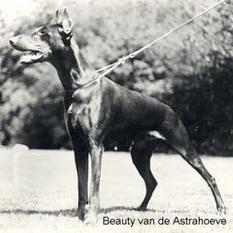 Beauty van de Astra-Hoeve Beauty van de Astra-Hoeve