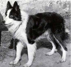 Bwlch Taff Bwlch Taff