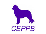 Campeonato Nacional de RCI del CEPPB