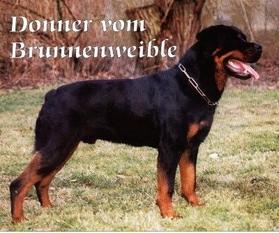 Donner vom Brunnenweible Donner vom Brunnenweible