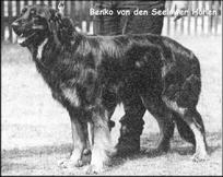 Bild von Benko von den Seelower Höhen