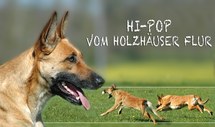 Hi-Pop vom Holzhäuser Flur