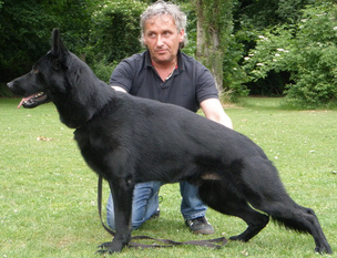 Ekko von den wilden Grauen Ekko von den wilden Grauen