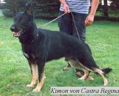 Kimon von Castra Regina