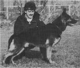Dax van Blitsaerd