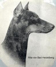 Rita von Bad Heidelberg Rita von Bad Heidelberg