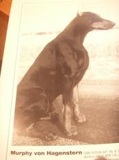 Murphy von Hagenstern Murphy von Hagenstern