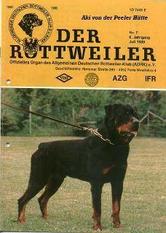 Aki von der Peeler Hütte Aki von der Peeler Hütte