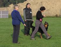 Bild von Estrelle vom Pfarrhof