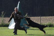 Bild von Estrelle vom Pfarrhof