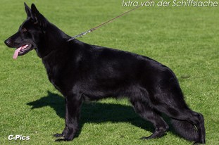 Ixtra von der Schiffslache Ixtra von der Schiffslache
