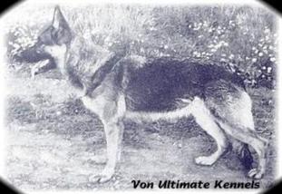 Jana vom Glockeneck Jana vom Glockeneck