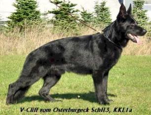 Cliff vom Osterburgeck Cliff vom Osterburgeck