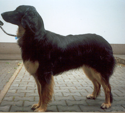 Caroline z Brzaneckych vinohradu Caroline z Brzaneckych vinohradu